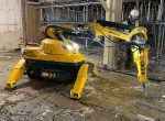 Service Robotic Demolition